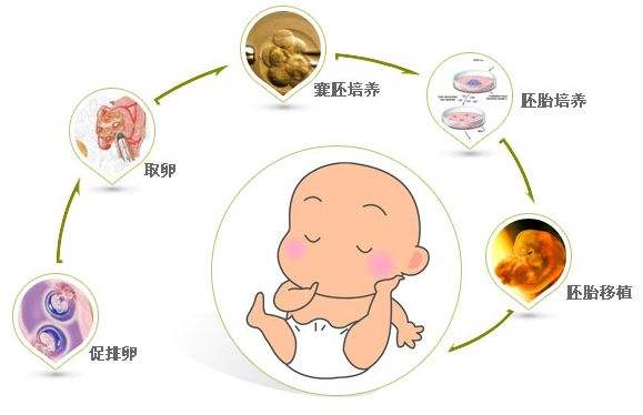 月经可以喝一点酒吗 月经可以喝一点酒吗女生